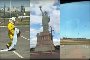 Ataque de abelhas durante retirada de colmeia deixa 3 feridos em loja da Havan; veja vídeo