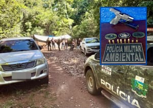 PM Ambiental intercepta acampamento e prende homem armado em área protegida de MT