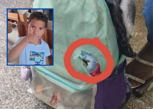 Pai é preso após filho de 6 anos morrer atingido por faca que estava dentro de mochila no AM