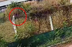 Vídeo mostra homem ateando fogo ao lado de policlínica; Abilio pediu ajuda da população