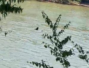 Corpo boiando no Rio Cuiabá é identificado; vítima usava tornozeleira e foi executada a tiros
