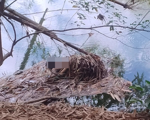 Corpo é encontrado preso à vegetação no Rio Coxipó e polícia inicia investigação em Cuiabá