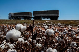 Gaeco aponta empresário e filha como líderes de esquema que teria causado prejuízo de R$ 28,7 milhões