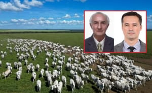Juíza determina desocupação imediata de área em MT ocupada por tio de Deltan Dallagnol