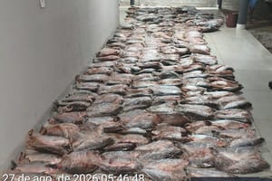 Sema apreende 1,17 tonelada de matrinchã; 2 pessoas foram presas e multadas em R$ 105,7 mil