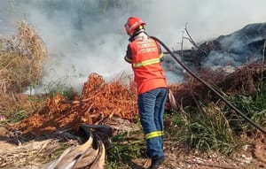 Levantamento aponta MT na liderança de número de focos de calor no país durante seca