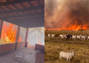 Incêndio de grandes proporções ameaça área urbana e mobiliza aeronaves no combate