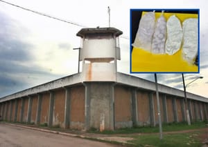 Advogado é detido após scanner apontar comprimidos e "pó branco" na entrada da PCE