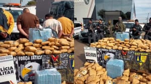 Forças de segurança prendem quatro suspeitos e apreendem 490 tabletes de "supermaconha"