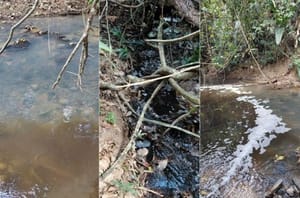 MPE cobra R$ 1 milhão do frigorífico Boa Carne por contaminação de rio em MT