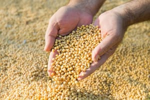Empresa que movimentou R$ 200 milhões é alvo de operação que investiga esquema no agronegócio
