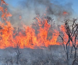 Bombeiros combatem 12 incêndios florestais nesta sexta em MT
