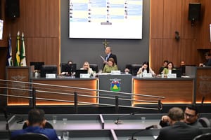 Cuiabá aprova multa de até R$ 100 mil por corte e danos irregulares em árvores