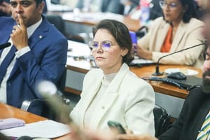 Coronel Fernanda pediu convocação de Vorcaro meses antes de caso envolvendo Moraes