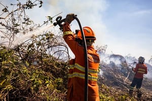 Bombeiros combatem 9 incêndios florestais em sete municípios de MT neste domingo