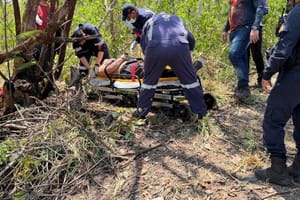 Motociclista sai da pista, bate em árvore e desmaia após acidente na MT-251