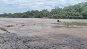 Policial de folga escuta gritos e salva duas crianças de afogamento em rio de Cuiabá