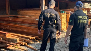 Operação da PF mira grupo criminoso suspeito de fraudar comércio de madeira nativa