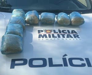 Mulher é presa por PMs de Mato Grosso e Goiás com 25 quilos de "supermaconha" em rodovia