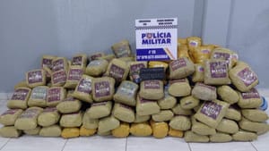 PM apreende 202 quilos de super maconha escondida em carga de milho; motorista foi preso