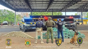 Gefron intercepta 550 tabletes de cocaína e causa prejuízo de R$ 10 milhões ao crime