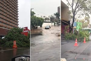 Temporal invade casas, derruba árvores e causa transtornos em Cuiabá e VG; veja os vídeos
